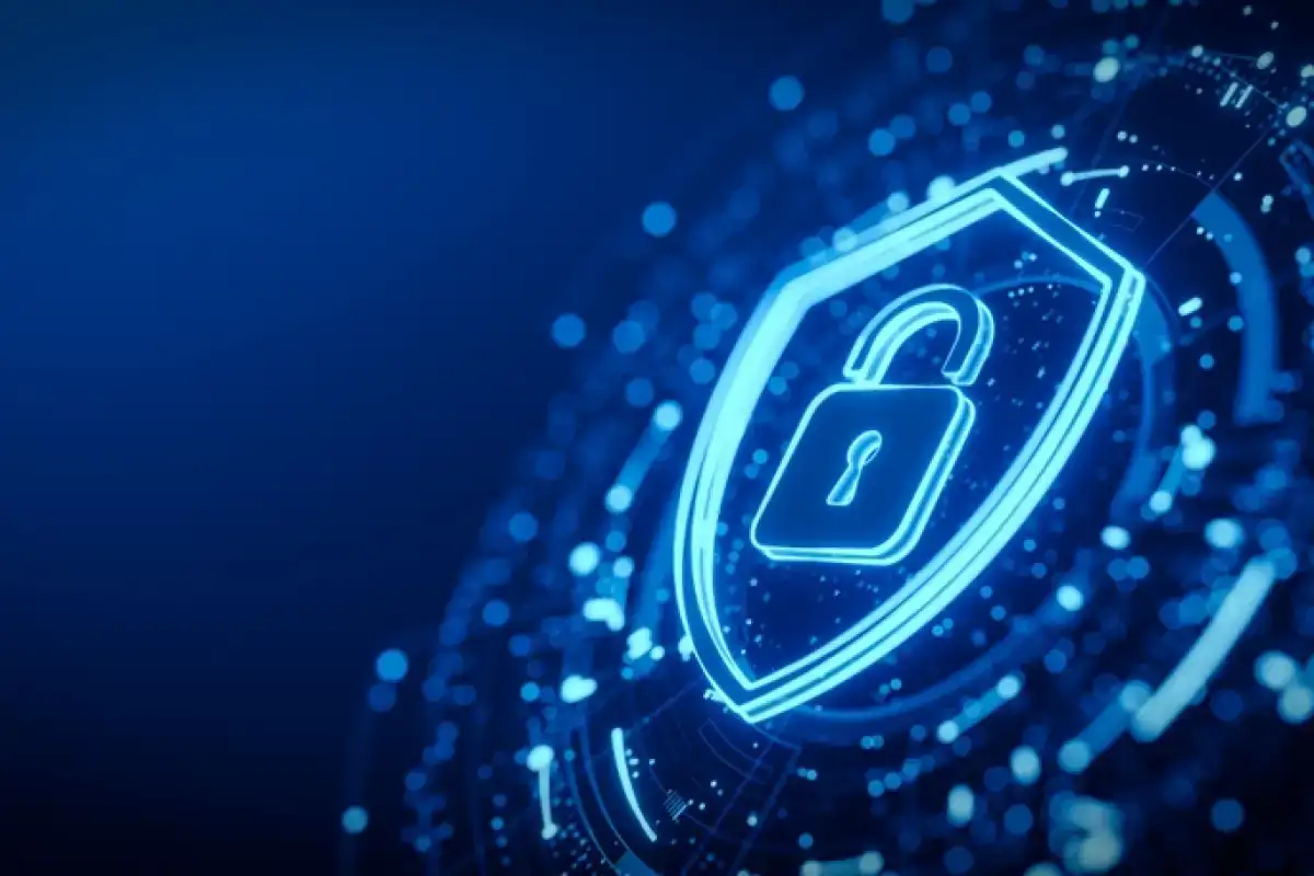 MIS - Digital Privacy and Cybercrime Laws in the UAE